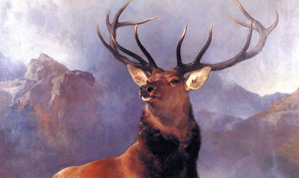 Famous Deer Art Collection